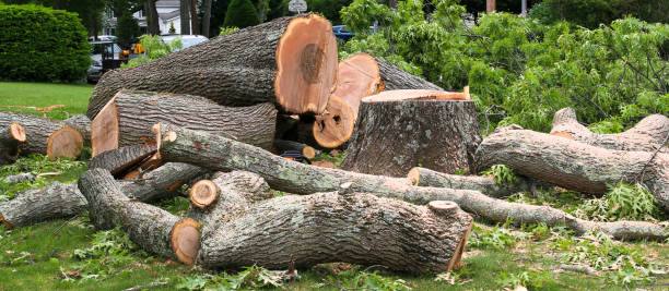  Fayetteville, WV Tree Services Pros